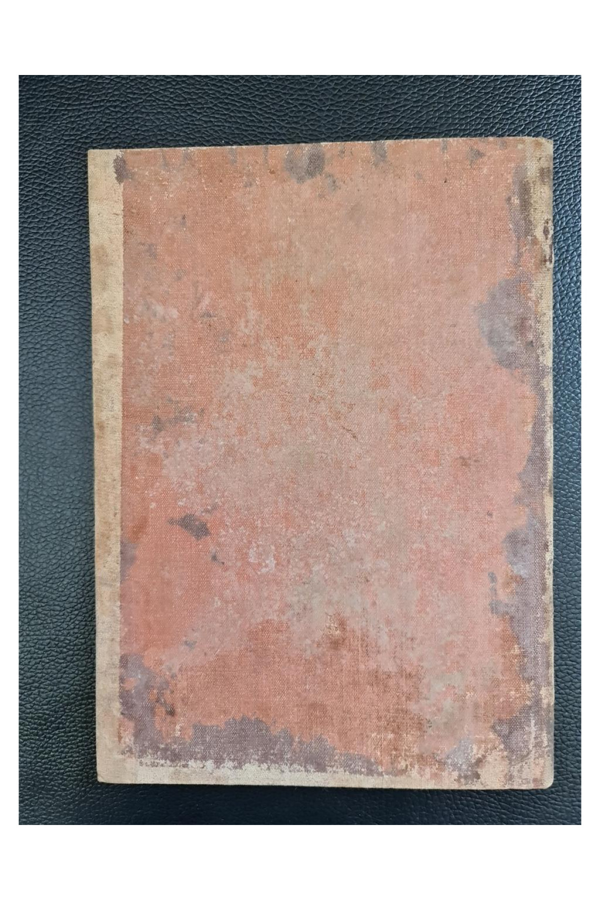 1910 г. В борьбе за национально-народное дело. Западная Русь