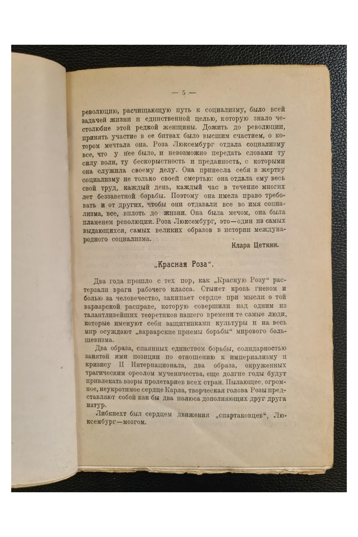 1921 г. Роза Люксембург 