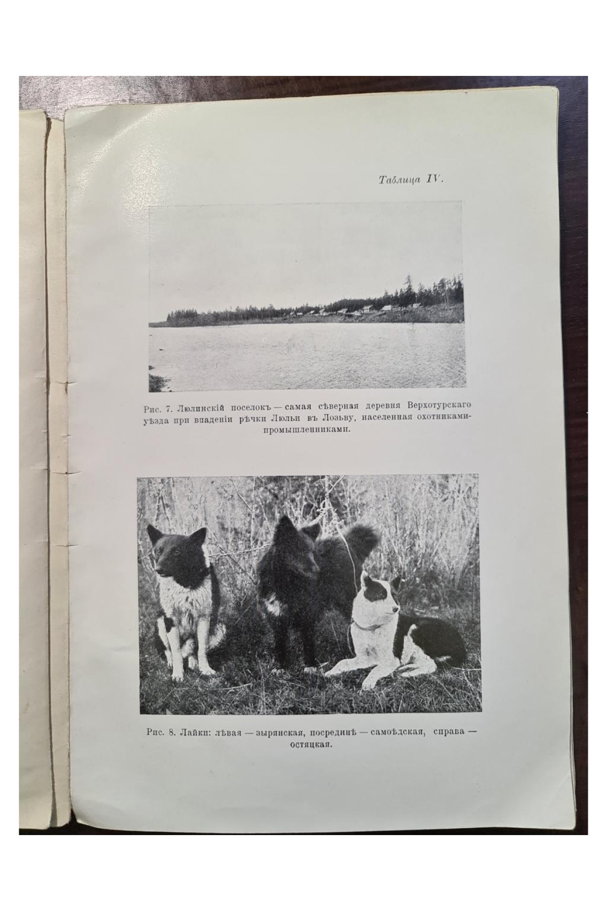 1915 г. Опыт обследования соболиного промысла и промысловой охоты вообще в Чердынском и Верхотурском уездах Пермской губернии.
